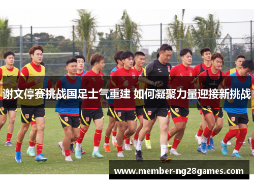 谢文停赛挑战国足士气重建 如何凝聚力量迎接新挑战