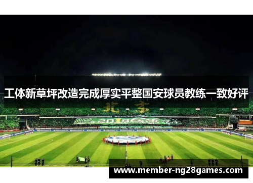 工体新草坪改造完成厚实平整国安球员教练一致好评